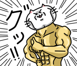 16232840
