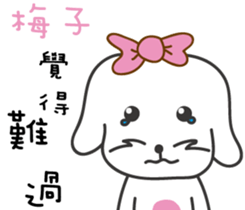 162379935