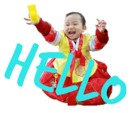 162423343