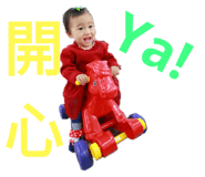 162423344