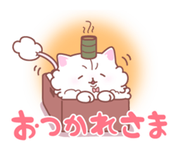 16243730