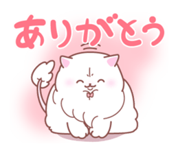 16243733