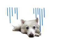 162444414