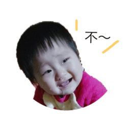 162450235