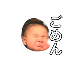 162453642