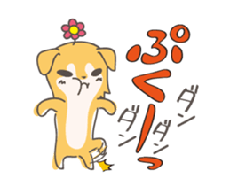 162454169