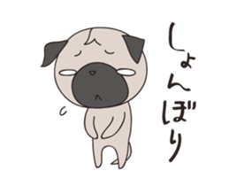 162454184