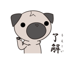 162454188