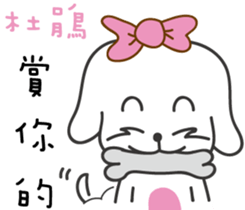 162457295