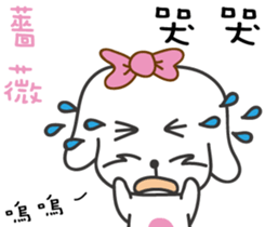 162458096
