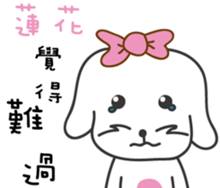 162462151