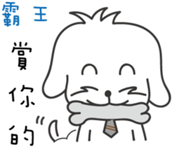 162464615