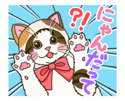 162482369