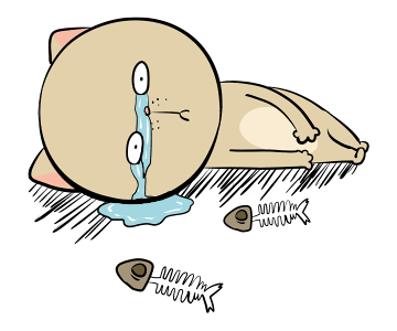 Weird Cat Ever รูปที่ 8