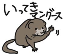 162491431
