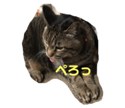 162514078