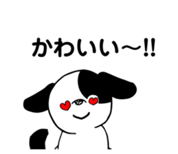 162529952