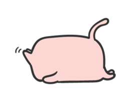 16256366