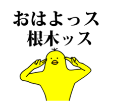 162599904