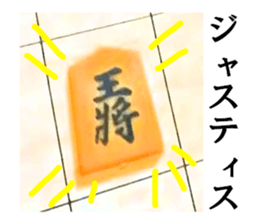 16265248