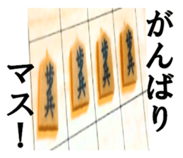 16265249