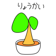 162766456