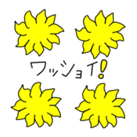 162766465