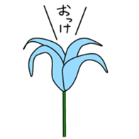 162766466