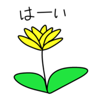 162766470