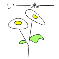 162766476