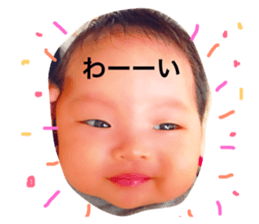162932798