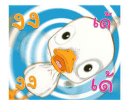 16296261
