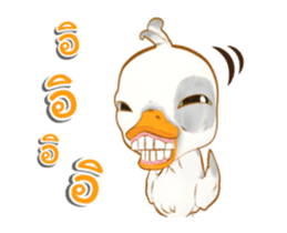 16296266