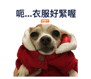 162994300
