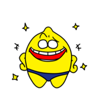 16303043