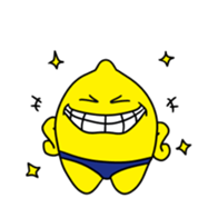 16303044