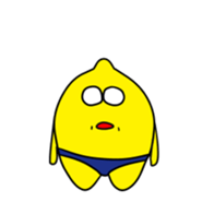 16303045