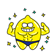 16303048