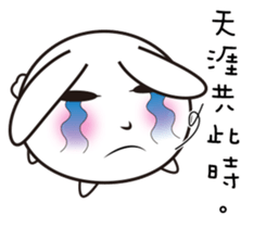 16305598