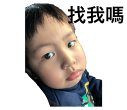 163068256