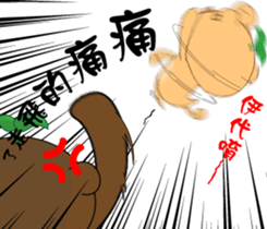 163084560