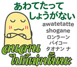 16309505
