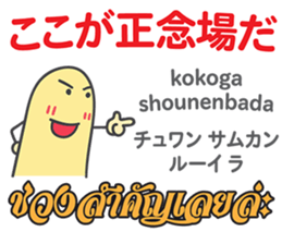 16309510