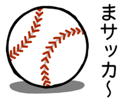 163176306