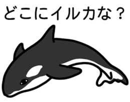 163176308