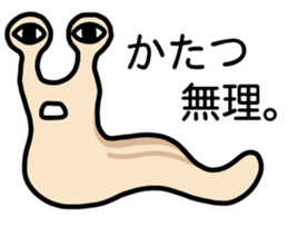 163176313