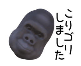 163179492