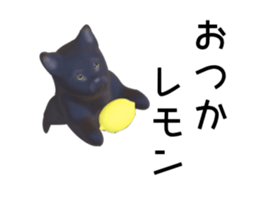 163179493