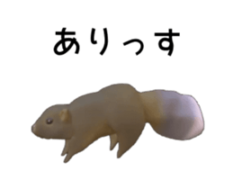 163179501