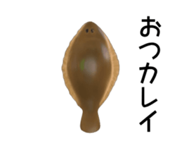 163179504